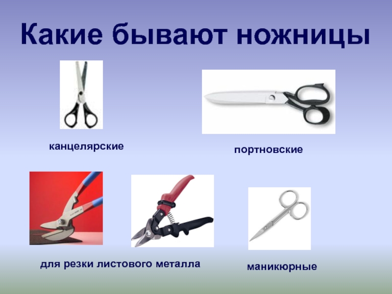Топ-7 лучших маникюрных ножниц: обзор, отзывы