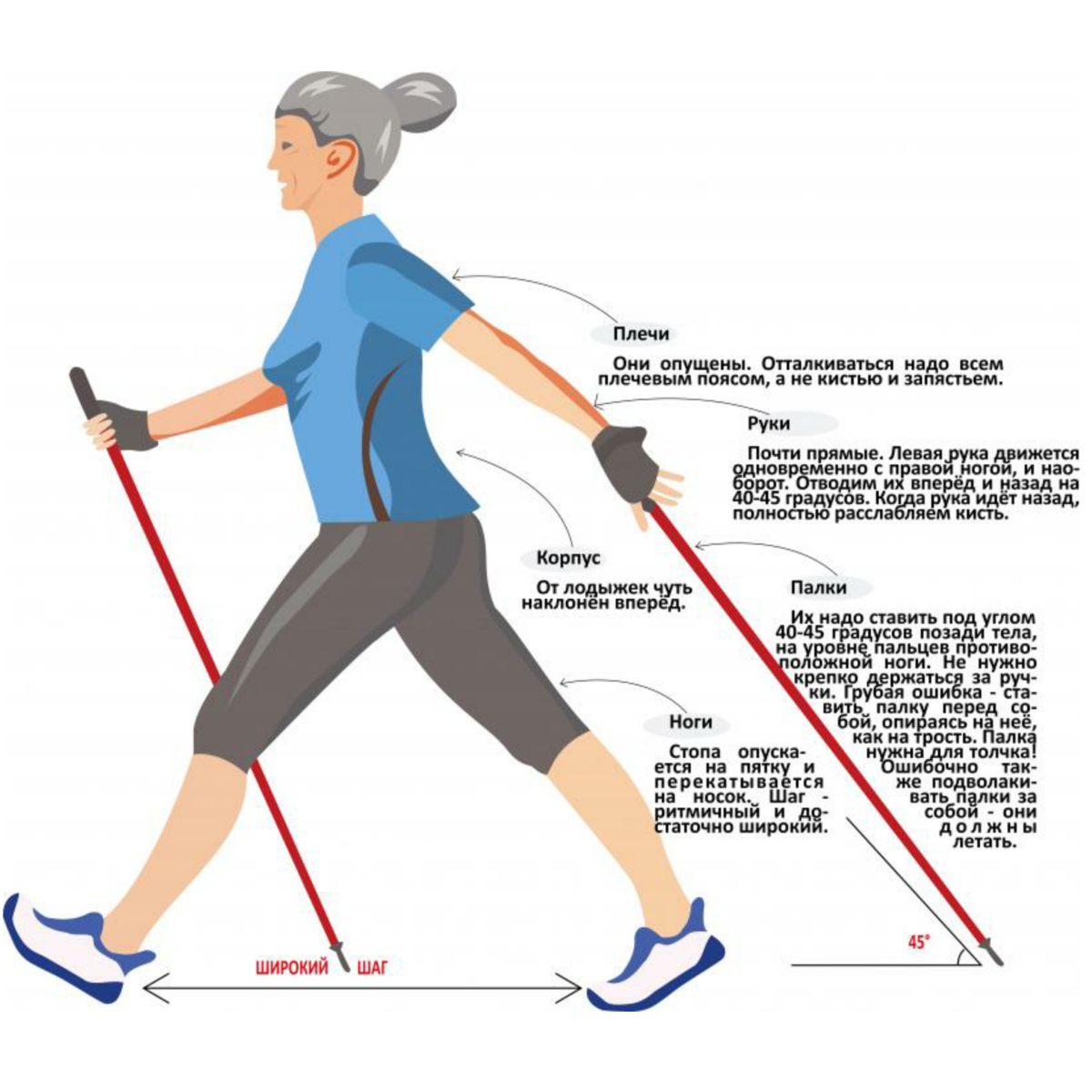 Скандинавская ходьба методика ходьбы