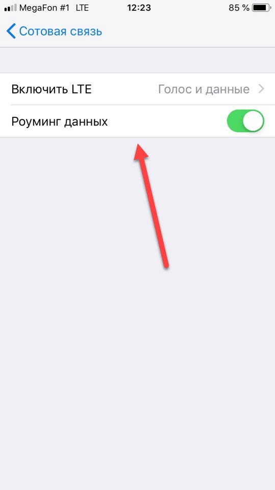 Почему не работает связь. Включить роуминг данных на iphone. Включить роуминг на айфоне. Что такое роуминг данных на айфоне. Как включить роуминг на айфоне 12.