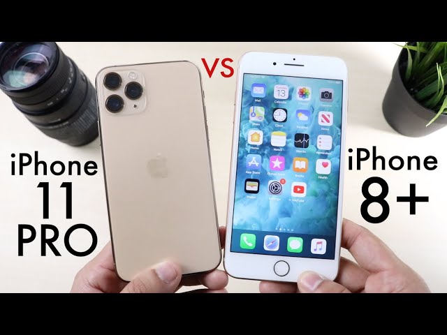 Iphone 11 iphone 8 сравнение