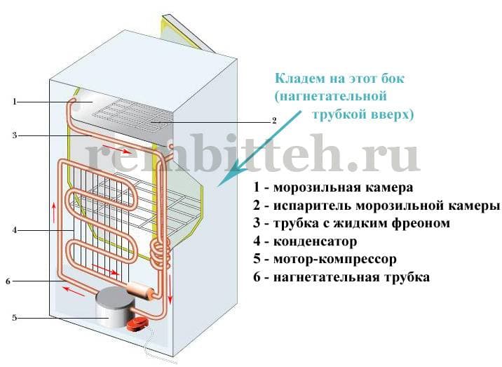 Можно ли перевозить холодильник лежа? как правильно перевозить холодильник? :: syl.ru