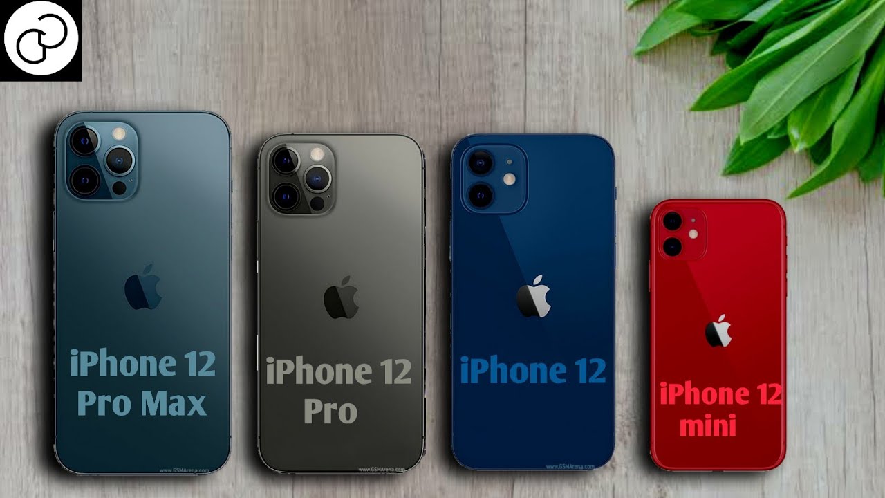 Iphone 12 версии. Iphone 12 12 Mini 12 Pro и 12 Pro Max. 12 Pro Max vs 12 Mini. Iphone 12 Mini vs iphone 12 Pro Max. Iphone 12 Mini Pro Pro Max.
