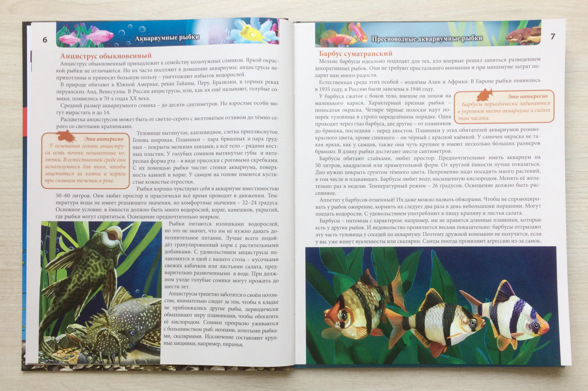 Энциклопедия хочу знать аквариумные рыбки