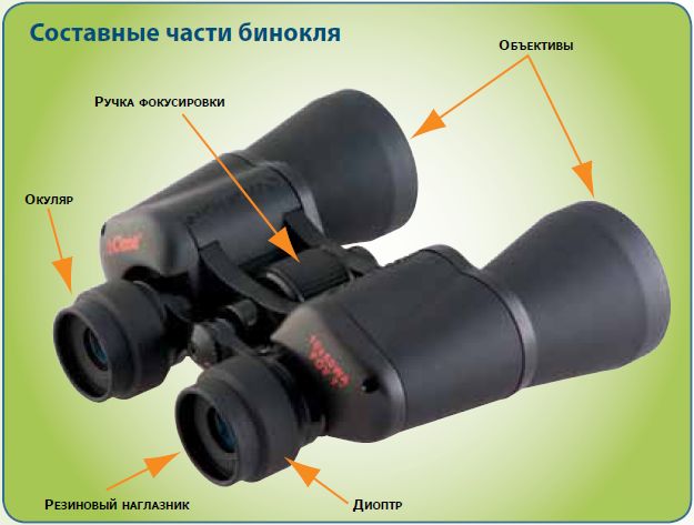 С каким окуляром лучше рассматривать протяженные объекты. Бинокль Binocular 8х21. Бинокля кольцо окуляра Вебер. Окуляр бинокля 12х140. Бинокль зеркально-линзовый с центральной фокусировкой (БЗЛ 30х60).