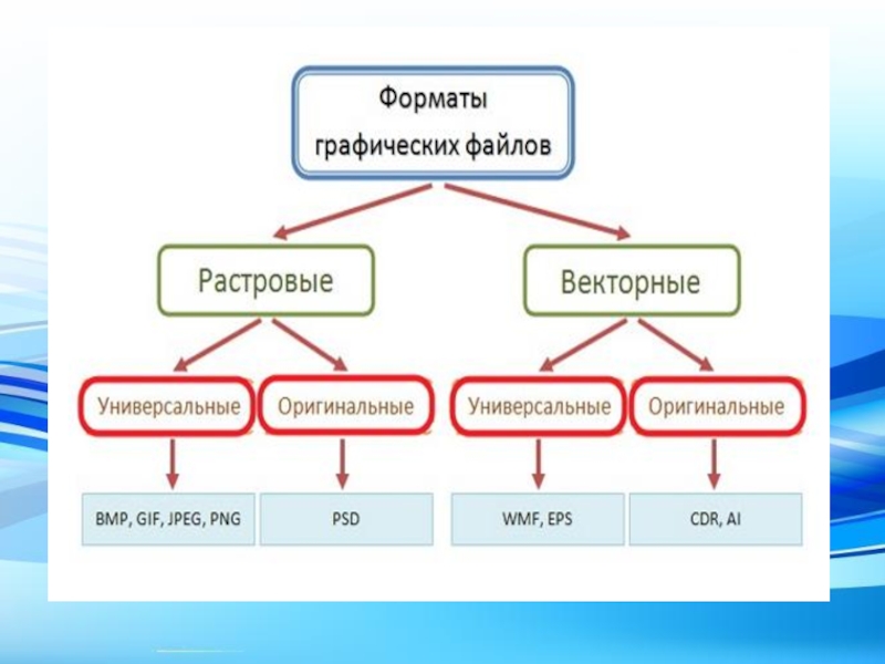 Какие из приведенных ниже форматов изображений являются растровыми