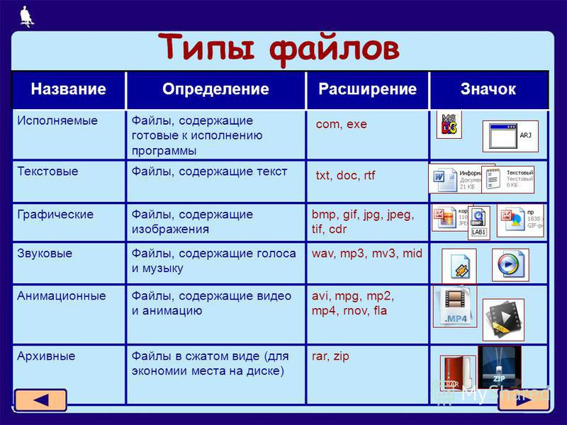 Виды информации и документов. Информатика 7 класс таблица Тип файла, расширения. Программы и типы файлов. Типы файлов в информатике. Таблица типы файлов Информатика.