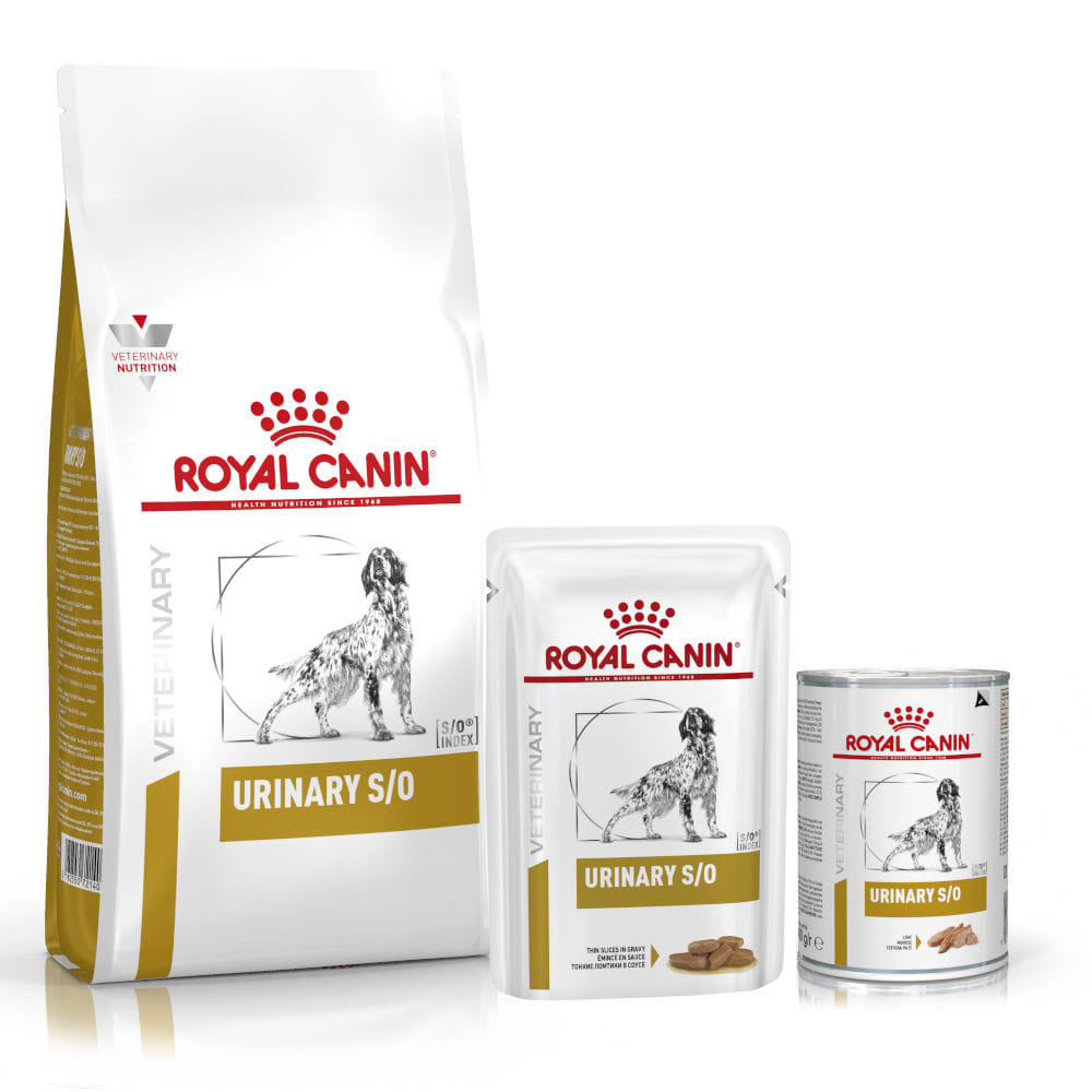 Корм royal urinary s o. Корм Royal Canin Urinary s/o. Royal Canin Urinary s/o для собак сухой. Роял Канин Уринари s/o для собак мелких пород. Корм Роял Канин Уринари для собак.