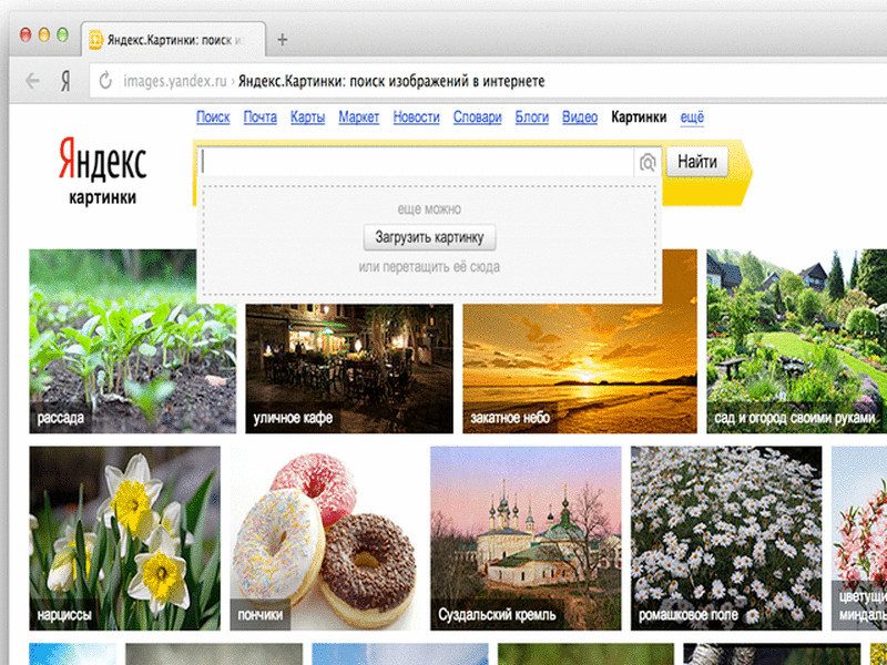 Поиск по картинке фото онлайн бесплатно без регистрации на русском языке