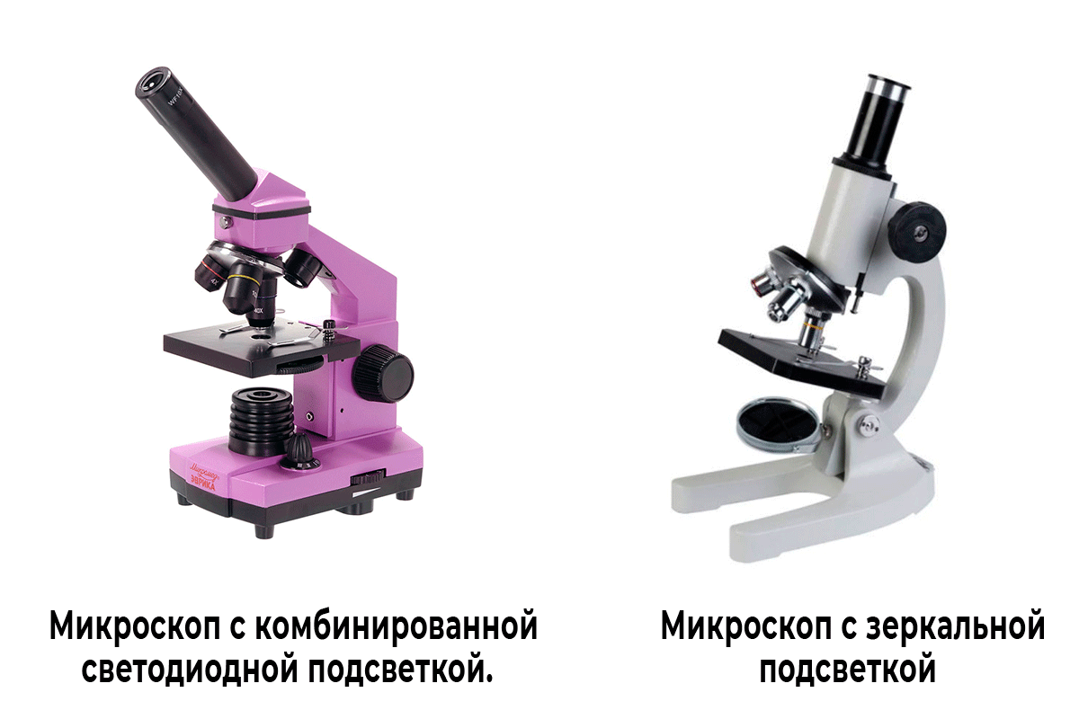 Микроскоп для школьника какой. Микроскоп школьный. Микроскоп школьный с подсветкой. Микроскоп с подсветкой для школы. Микроскоп нужен для.