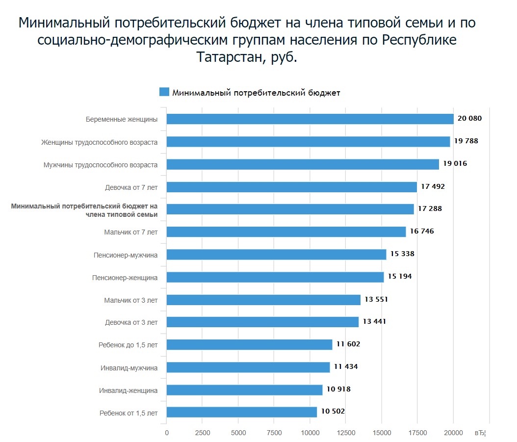 Прожиточный минимум в башкортостане в 2024. МРОТ бюджет. Прожиточный минимум в Татарстане на 2022. Минимальный бюджет в РФ 2022. Минимальный потребительский бюджет в РФ это.
