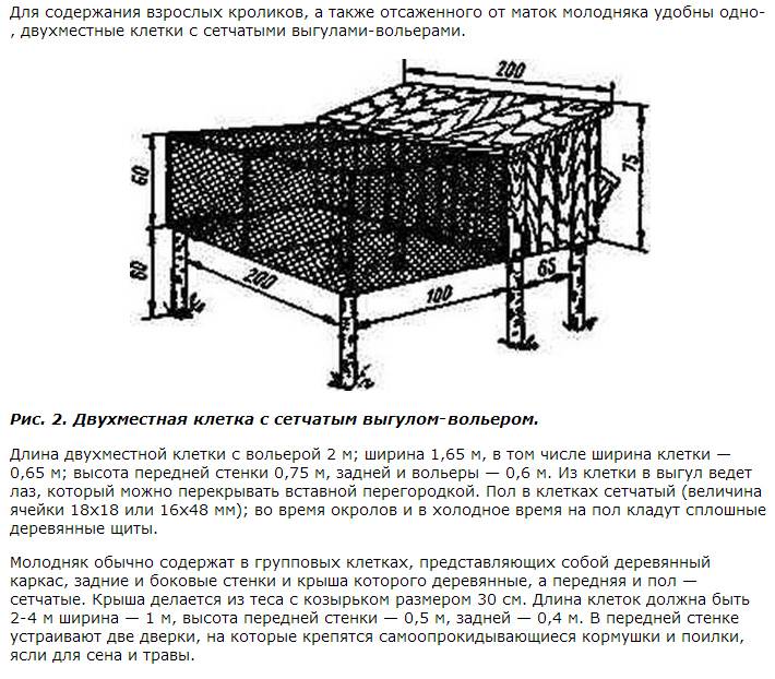 Длина клетки. Клетки для содержания молодняка кроликов. Клетка для отсадки молодняка кроликов. Чертеж вольер для кроликов своими руками. Размер клетки для одного кролика взрослого.