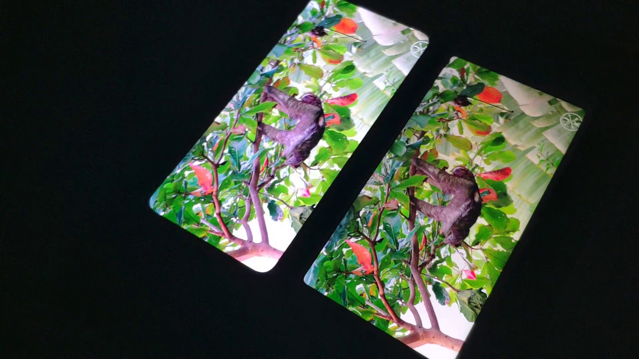 Amoled или ips - что лучше: сравнение, в чем разница тарифкин.ру
amoled или ips - что лучше: сравнение, в чем разница