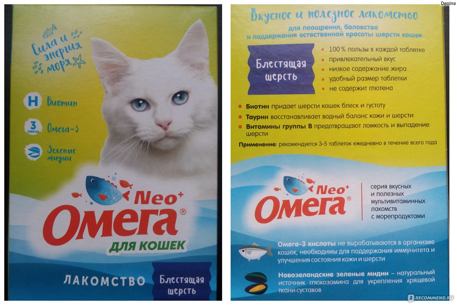 Топ-10 лучших витаминов для котов и кошек в рейтинге по отзывам покупателей