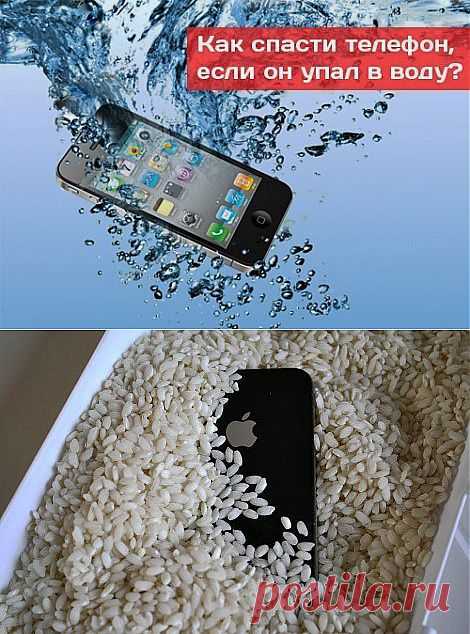 Телефон не работает после воды. Что делать если телефон упал в воду. Смартфон упал в воду. Что делать если телефон упал. Что делать если уронил телефон в воду.