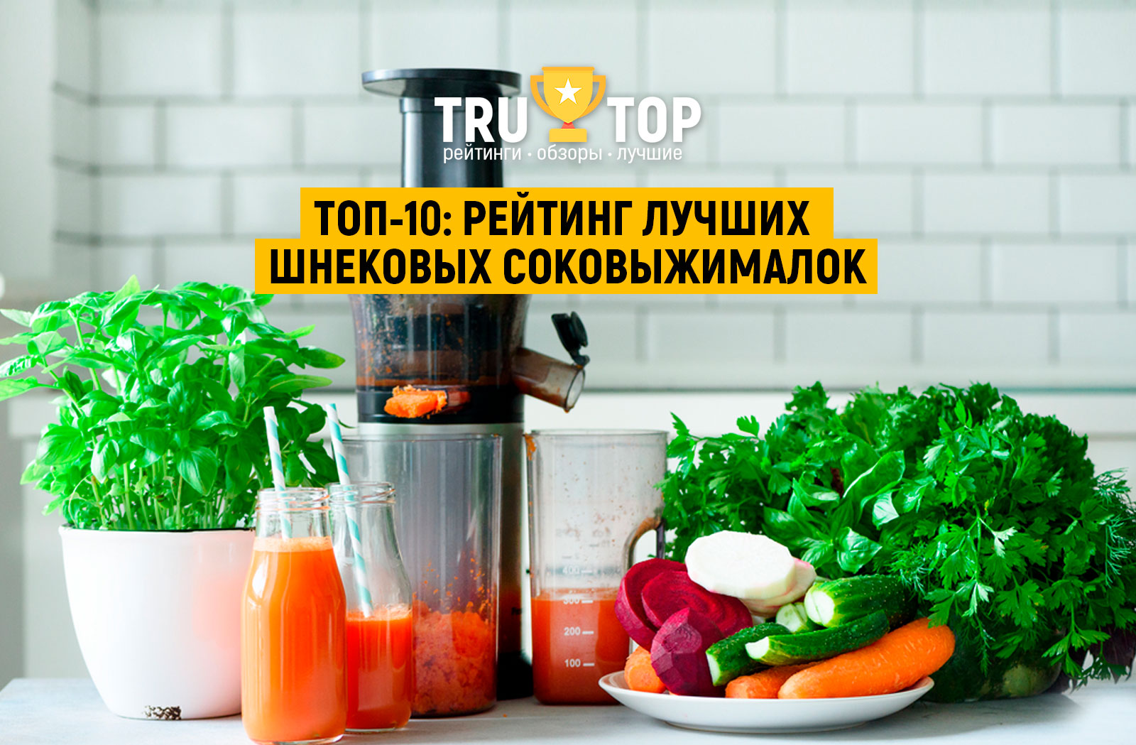 10 лучших соковыжималок 2021 для овощей и фруктов, рейтинг