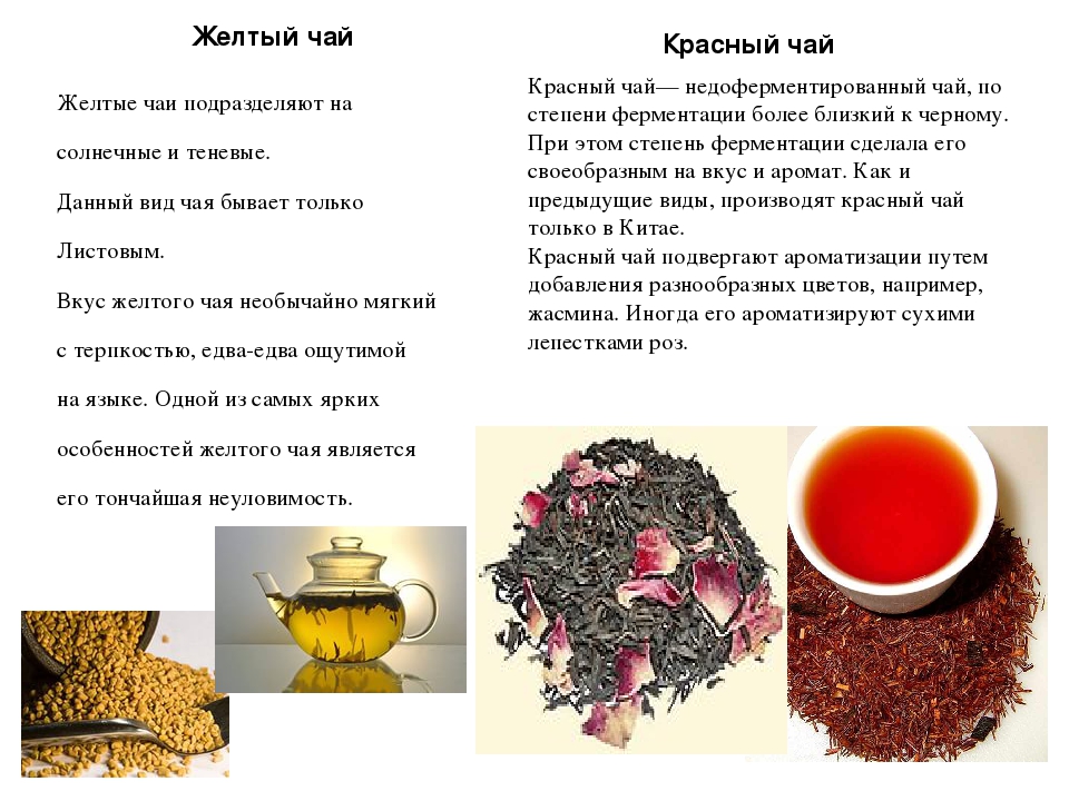 Чай сорта и виды. Виды чая. Виды и полезные свойства чая. Чай виды и сорта. Какие виды чая существуют.