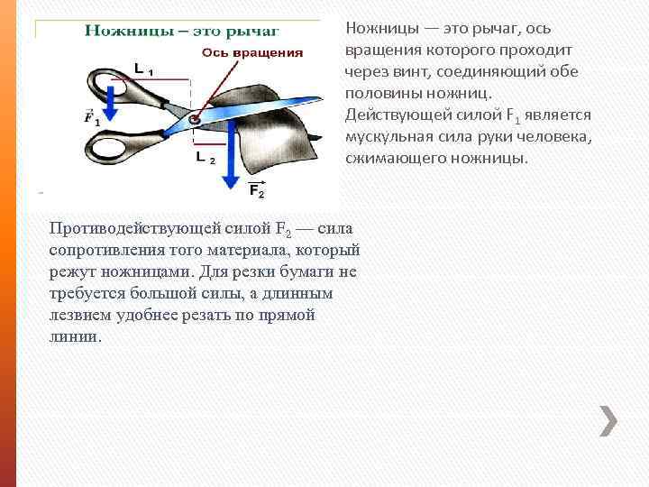 Пользуясь рисунком 156 объясните действие ножниц как рычага физика 7 класс