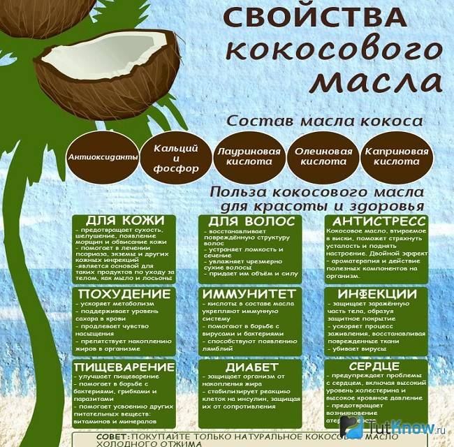 Как выбрать кокосовое молоко? разбор состава и вкуса