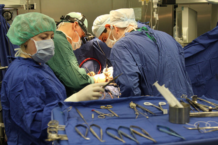 Сердечно-сосудистая хирургия — записаться на прием в цэлт