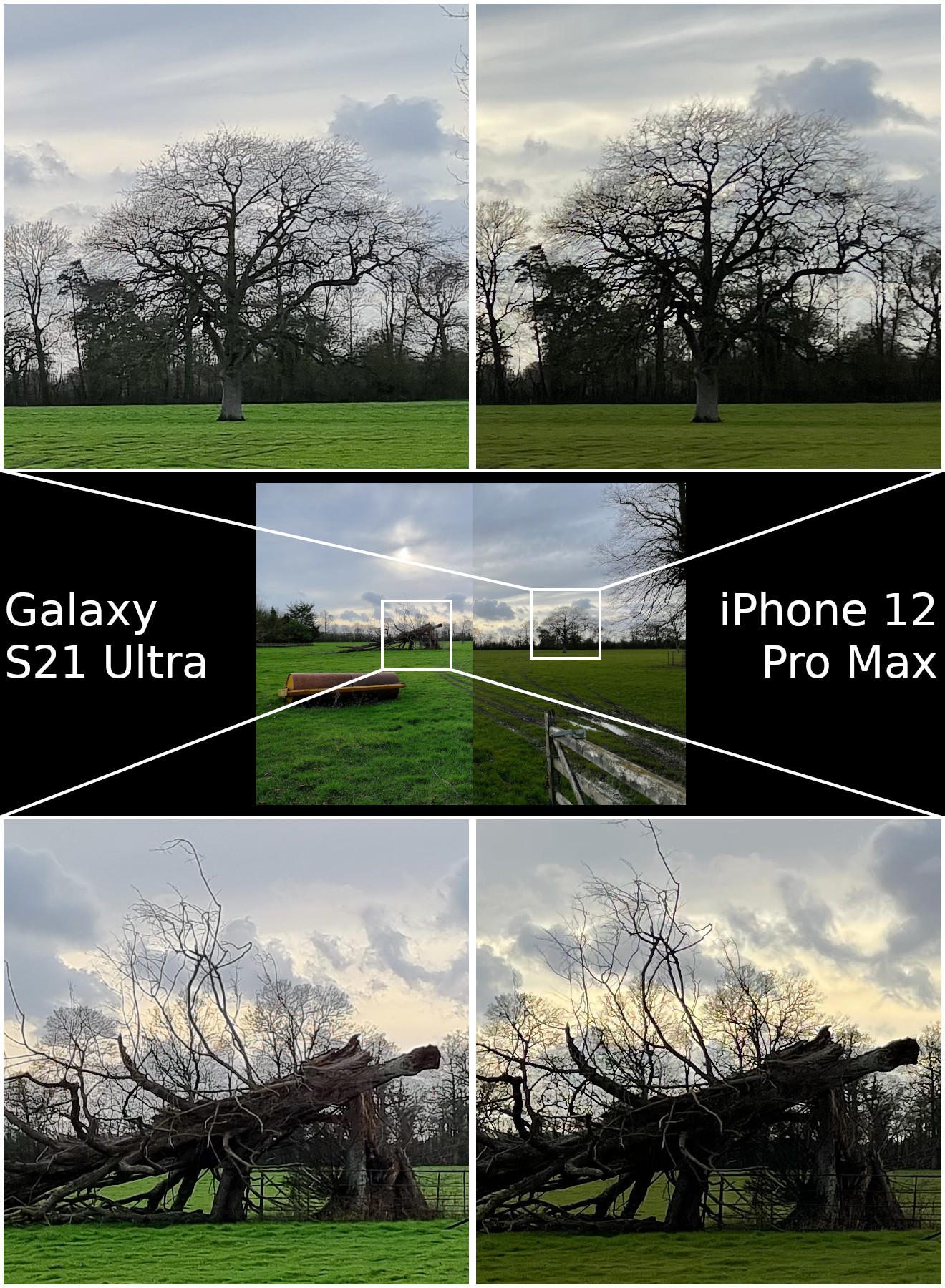 Samsung Galaxy s21 Ultra vs iphone 12 Pro Max камера