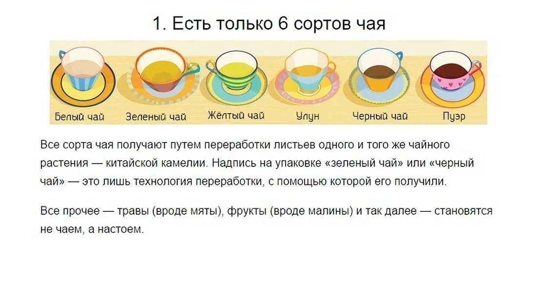 Виды пуэра – какой сорт чая лучше и вкуснее