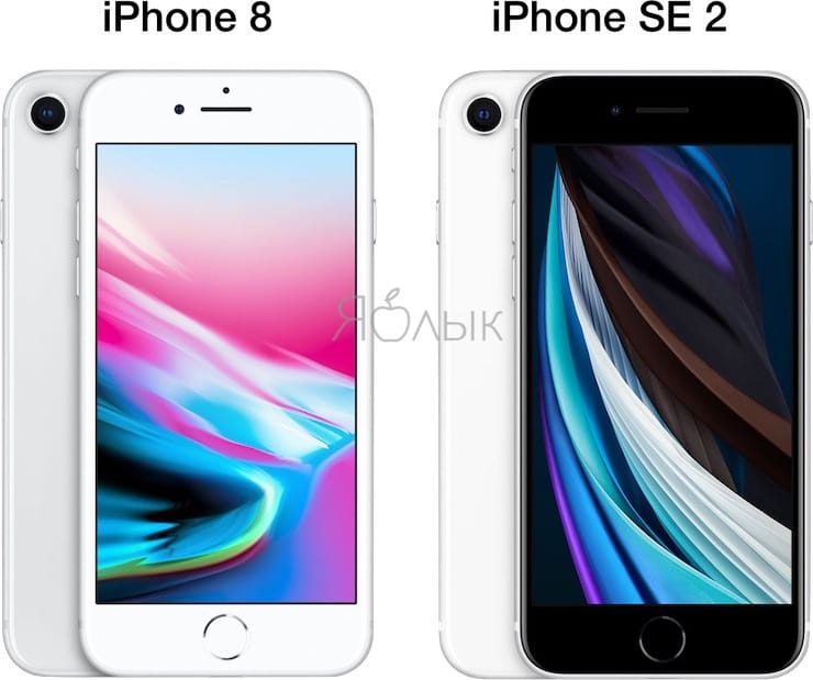 Iphone 8 plus iphone se. Айфон xe 2020. Айфон 8 se2. Iphone se 2 iphone 8 Plus. Iphone 8 Plus в 2023.