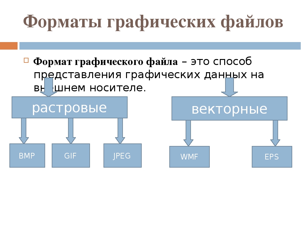 Какие бывают виды графических изображений