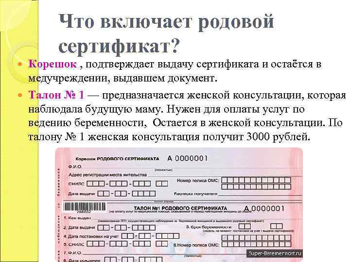 Родовый сертификат. Родовой сертификат. Талон родового сертификата. Корешок родового сертификата.