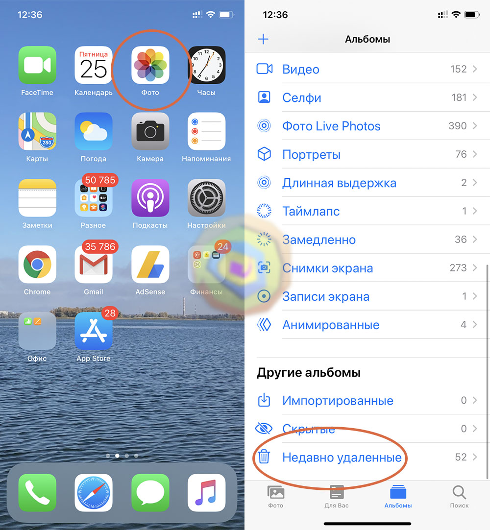 Где посмотреть удаленные фото на айфоне 12
