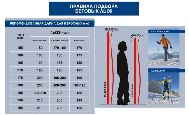 Что нужно знать при выборе горных лыж для начинающего спортсмена