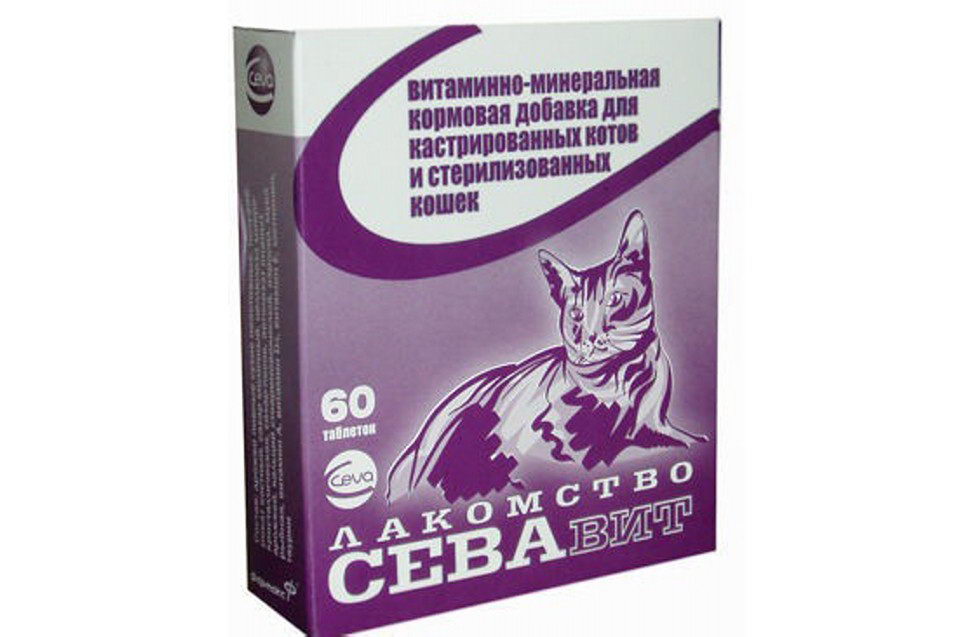 🐈 лучшие сухие корма для кошек на 2023 год