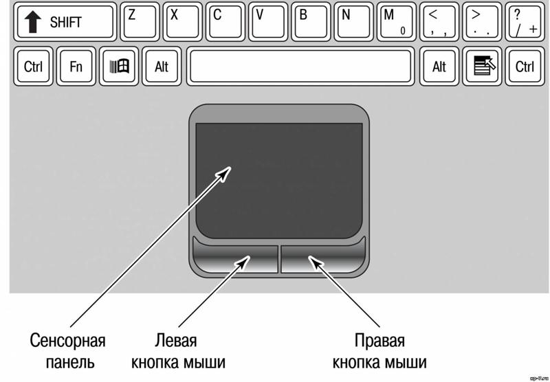 Не работает тачпад на ноутбуке? 5 способов решения touchpad